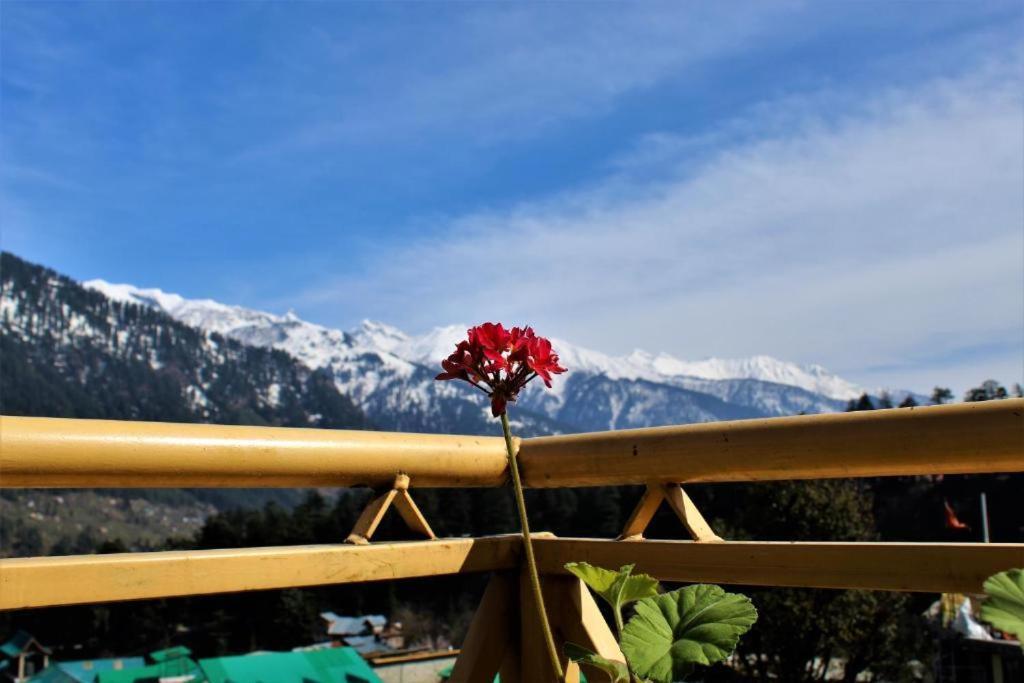 Upclimb Longstay For Bus Or Taxi Only Guests Manāli Esterno foto